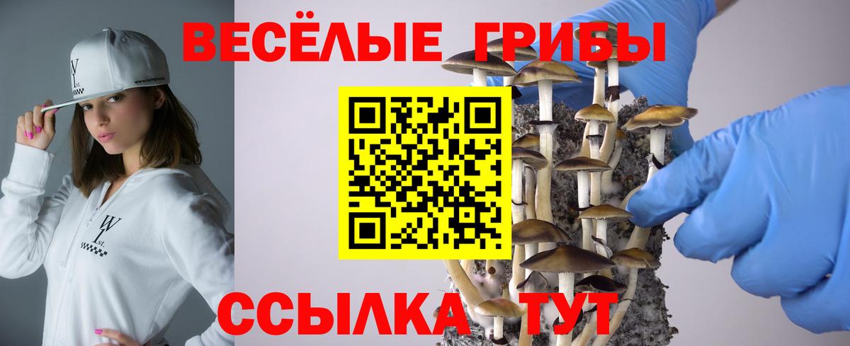 Псилоцибиновые грибы Cubensis Шали